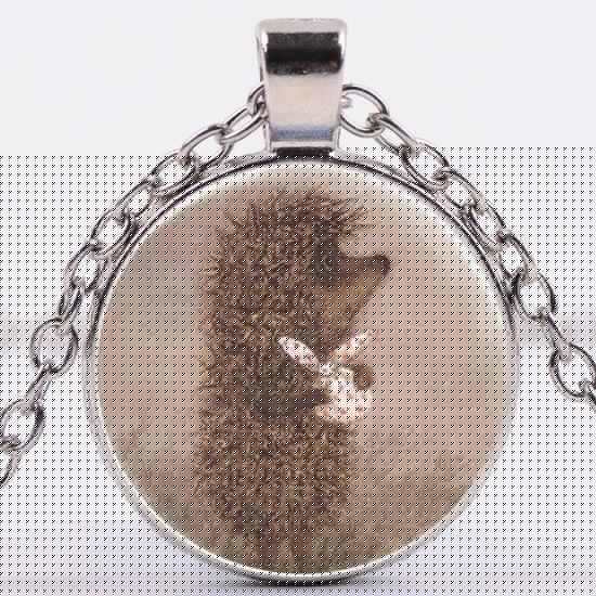 π¦ Vintage Lil' Hedgehog in the Fog Necklace π¦