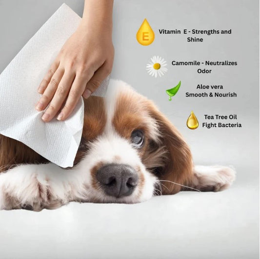 8 Piece Dog Cleaning Bundle All-in-One Pet Hygiene Kit