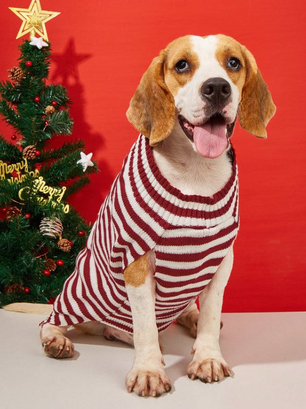 ๐
Santa Jumpers for Dogs ๐