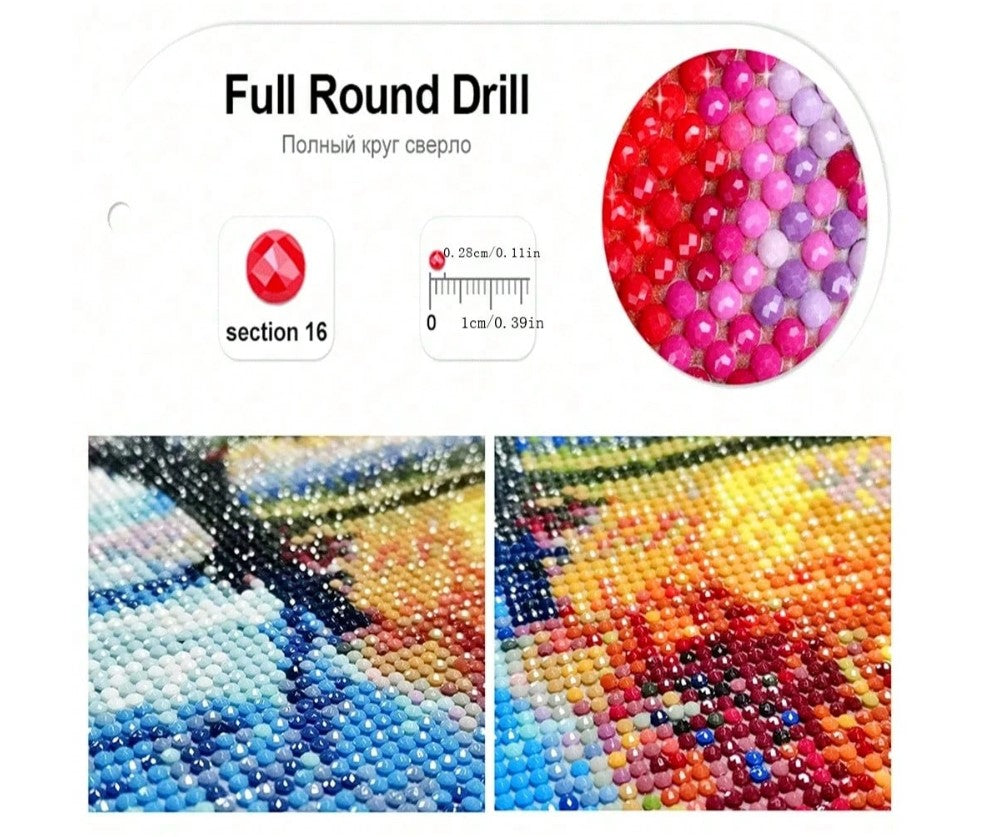 ๐ฆ๐ Cute Cartoon Hedgehog 5D Diamond Art Kit ๐๐ฆ