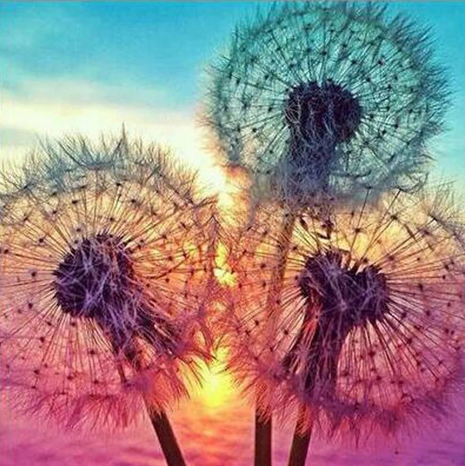 🌬️ 30*30 Dandelions Diamond Painting 🌬️