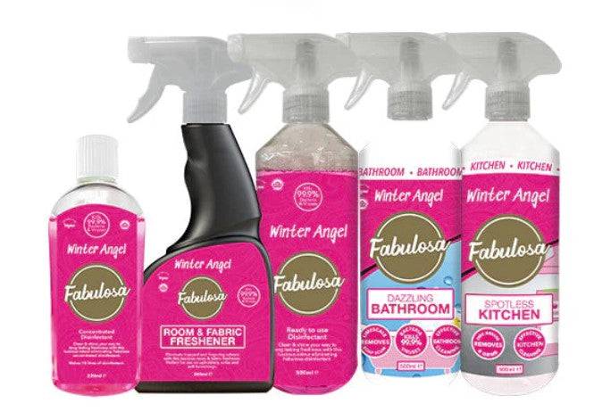 Winter Angel Fragranced General Household Mini Cleaning Bundle