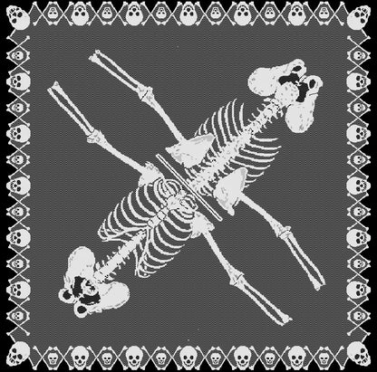 💀 Skeleton Shawls 💀
