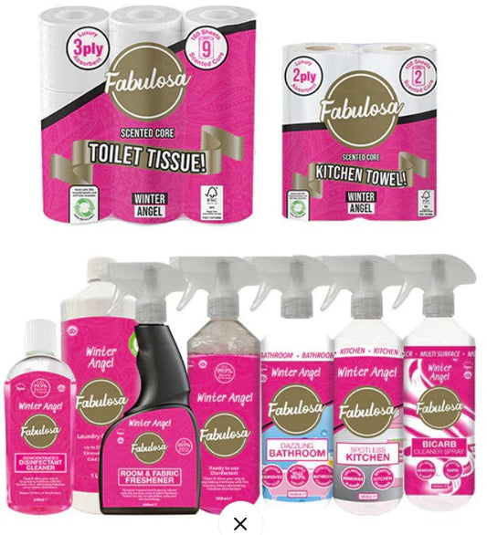 Ultimate Winter Angel Fragranced General Household Cleaning Scented Mega Bundle