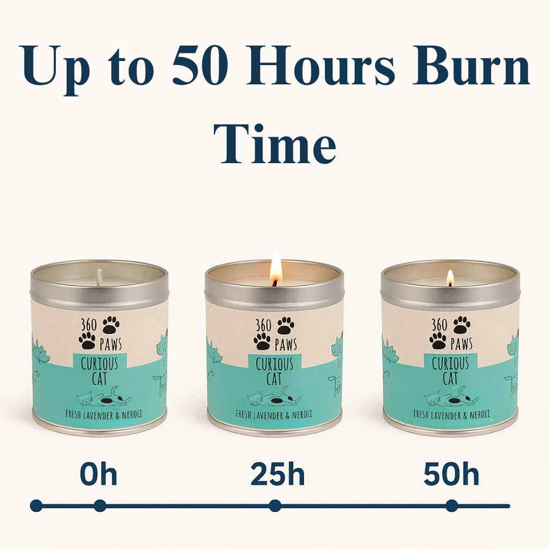 360 Paws Curious Cat Odour Neutralising Candle