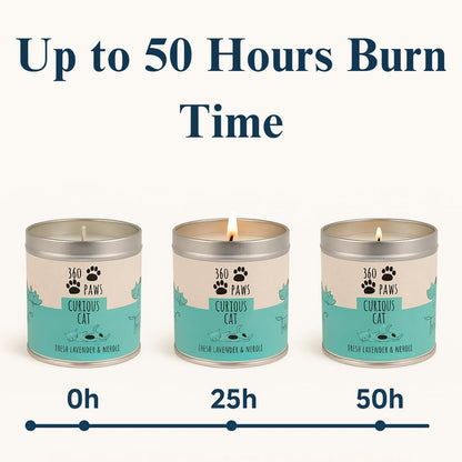 360 Paws Curious Cat Odour Neutralising Candle