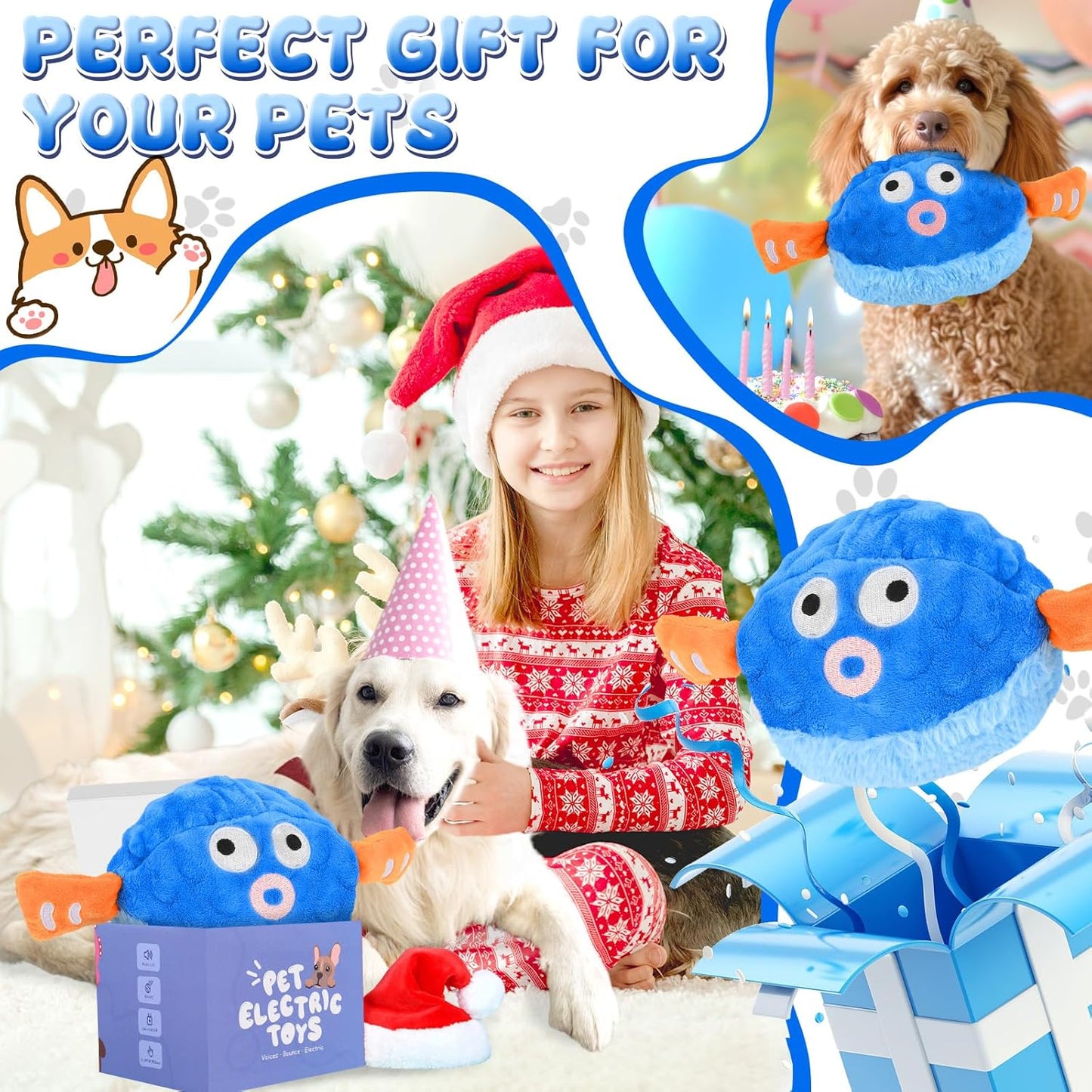 Interactive Pet Toy