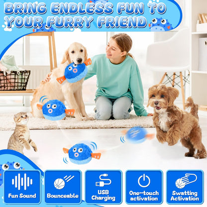 Interactive Pet Toy