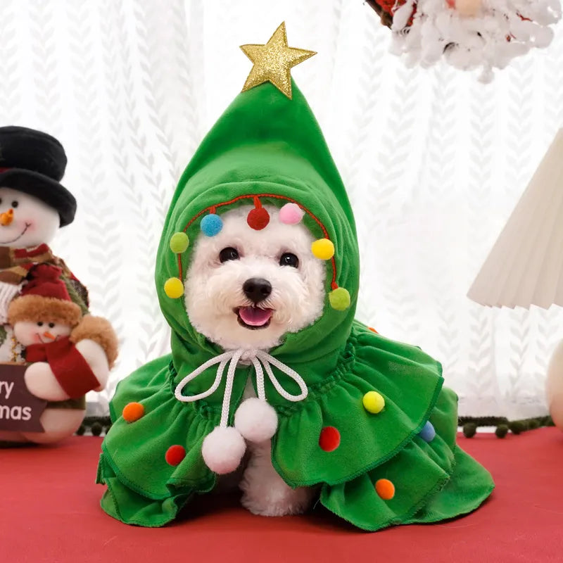 🎄🐾 Christmas Tree Outfits 🐾🎄
