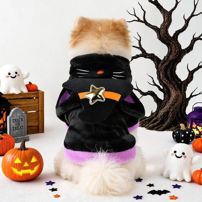 🐶 Dog Costumes 🐶