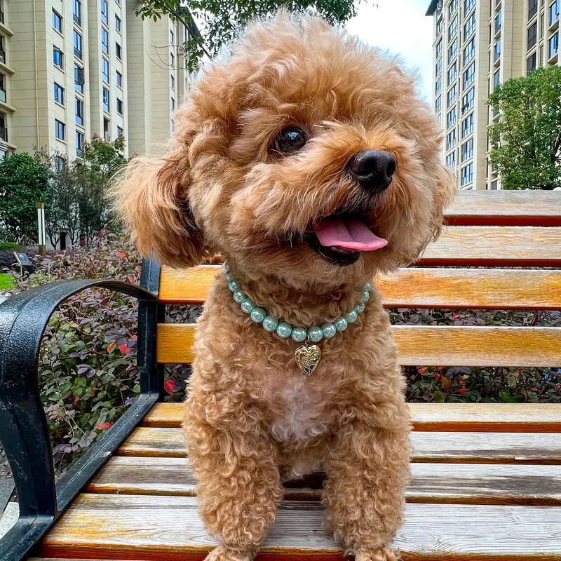 💖🐾  Green or Pink Pet Necklaces 🐾💖