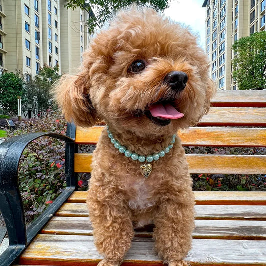 💖🐾  Green or Pink Pet Necklaces 🐾💖