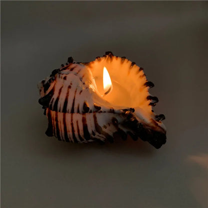 🕯️🐚 Shell Candles 🕯️🐚
