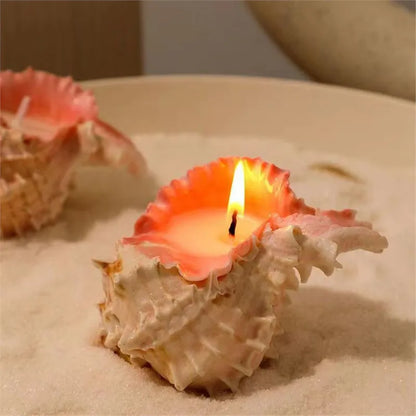 🕯️🐚 Shell Candles 🕯️🐚
