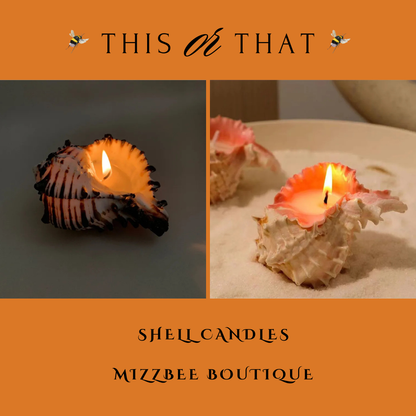 🕯️🐚 Shell Candles 🕯️🐚