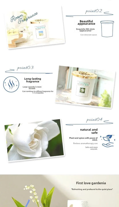 🌿 Long-lasting Solid Aromatherapy Air Freshener Fragrance 🌿