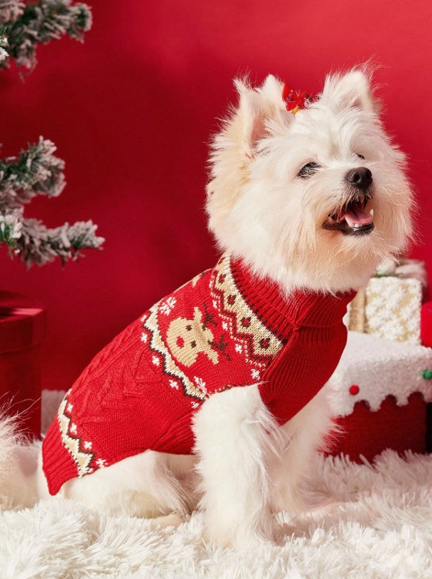 🎄🐶 Christmas Jumpers for Dogs 🐶🎄
