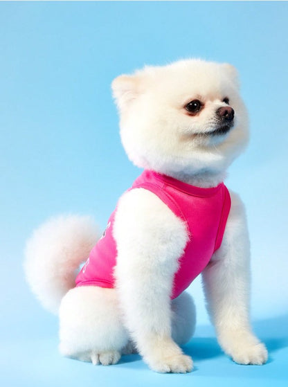 👑🐾  2pc Princess Pet Vests  🐾👑