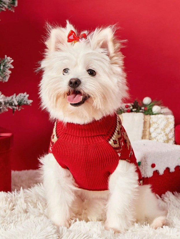 🎄🐶 Christmas Jumpers for Dogs 🐶🎄