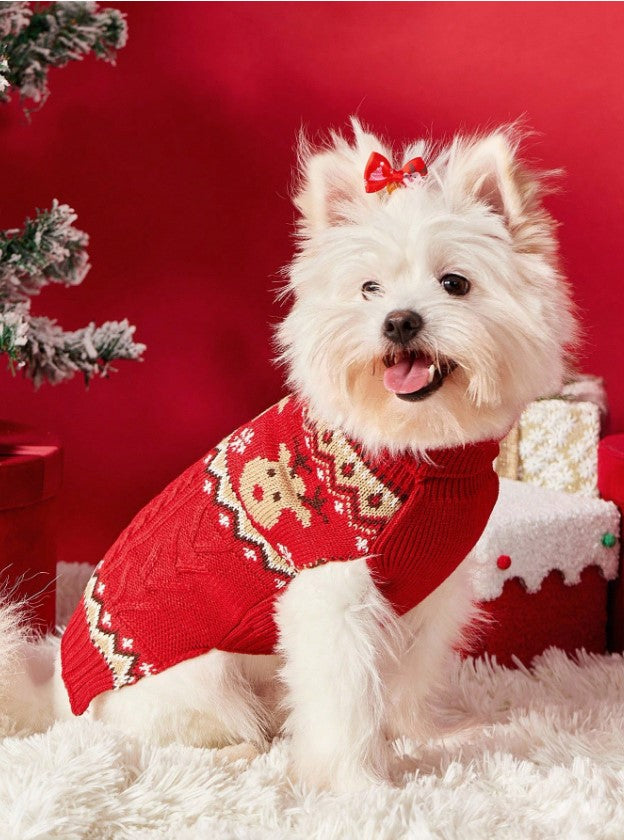 🎄🐶 Christmas Jumpers for Dogs 🐶🎄