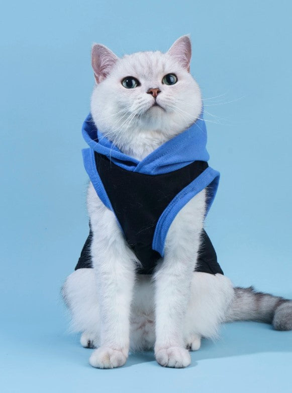 🐾💙 “Mommy’s Little Man” Pet Tank Top 💙🐾