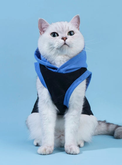 🐾💙 “Mommy’s Little Man” Pet Tank Top 💙🐾