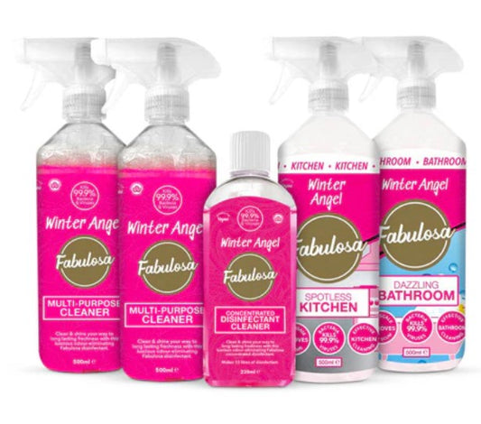 Winter Angel Mini Cleaning Bundle 5 Piece