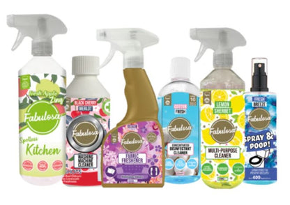 Favourites Cleaning Bundle 6 Piece