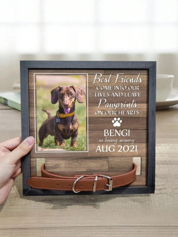🐾🌈  Personalised Pet Memorial Photo Frame & Collar Holder 🌈🐾
