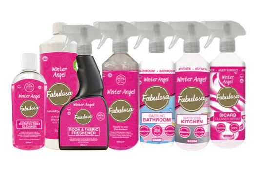 Winter Angel Household Cleaning Bundle