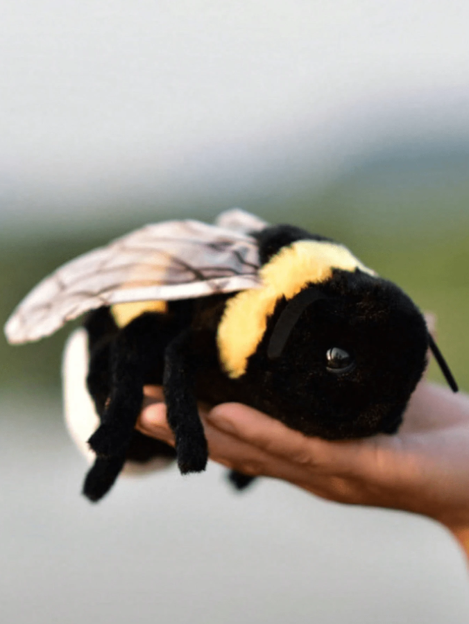 🐝✨ Meet Mr. Bumbles – The Lovable Bee Plushie! ✨🐝