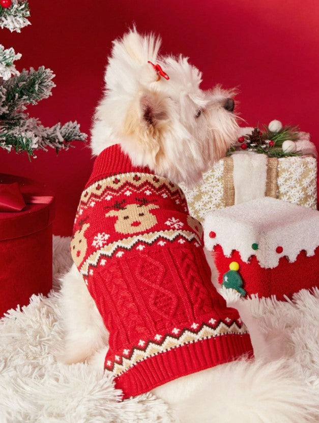 🎄🐶 Christmas Jumpers for Dogs 🐶🎄