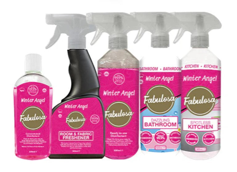 Winter Angel Fragranced General Household Mini Cleaning Bundle