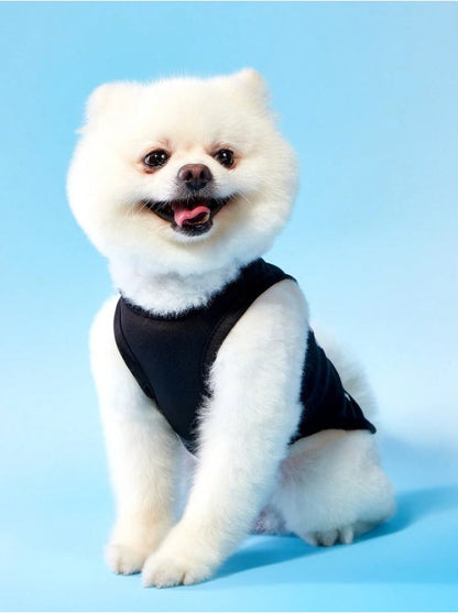 👑🐾  2pc Princess Pet Vests  🐾👑