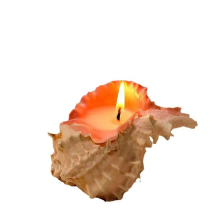 🕯️🐚 Shell Candles 🕯️🐚