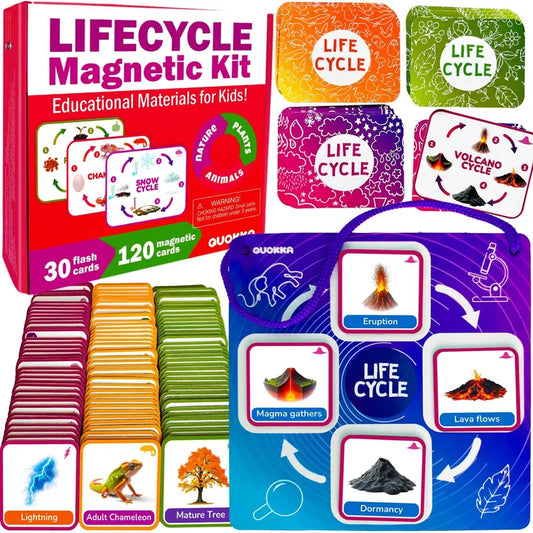 120pc Life Cycle Flashcards for Kids Educational Magnetic Learning Toy Set
