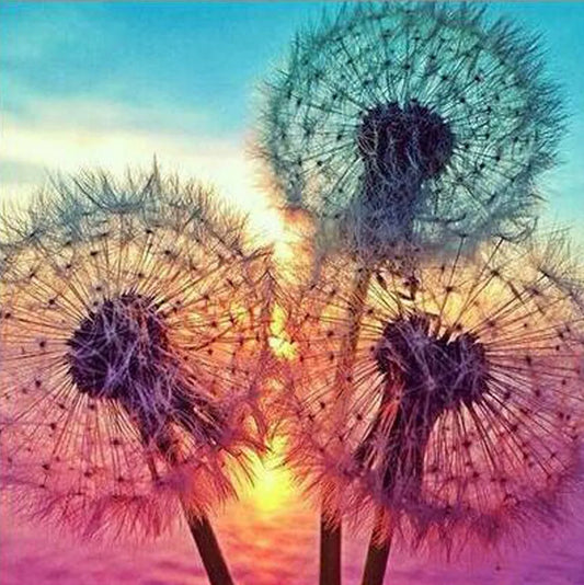 🌬️ 30*30 Dandelions Diamond Painting 🌬️