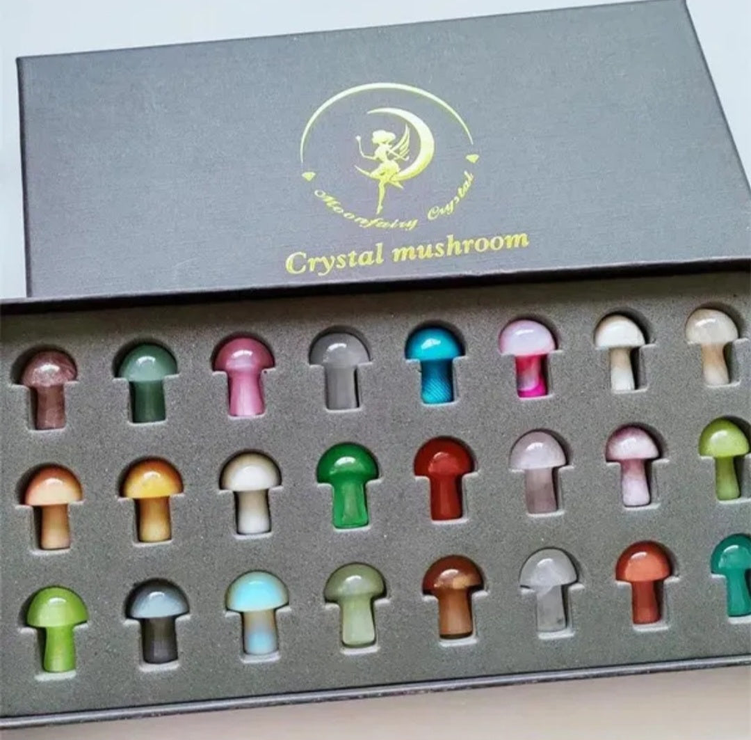 ✨🍄 24pc Crystal Mushroom Set 🍄✨