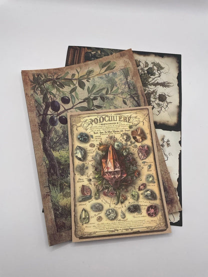 🔮✨ Novice Witch Kit – Spells, Crystals & Altar Essentials ✨🔮